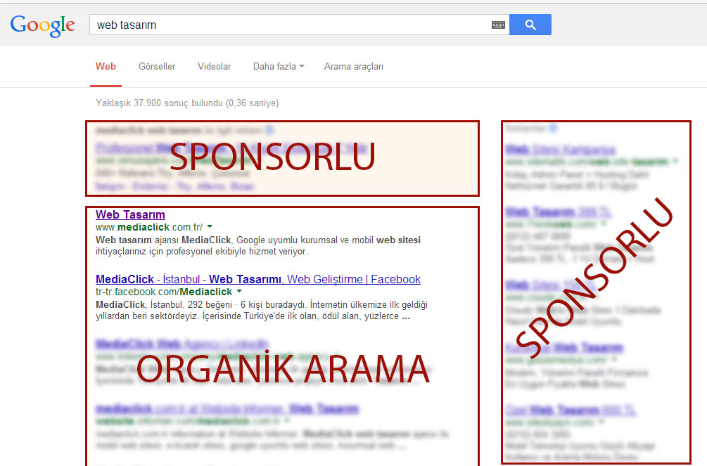 Arama motoru optimizasyonu (SEO) nedir?