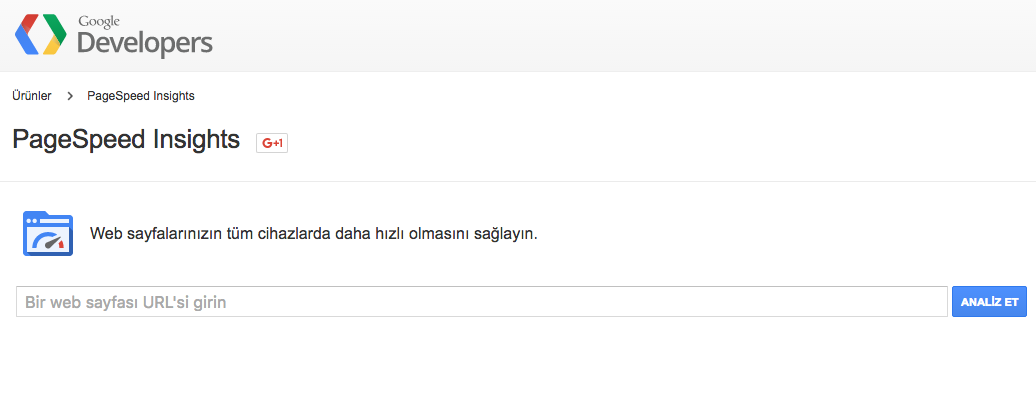 google-page-speed-insights