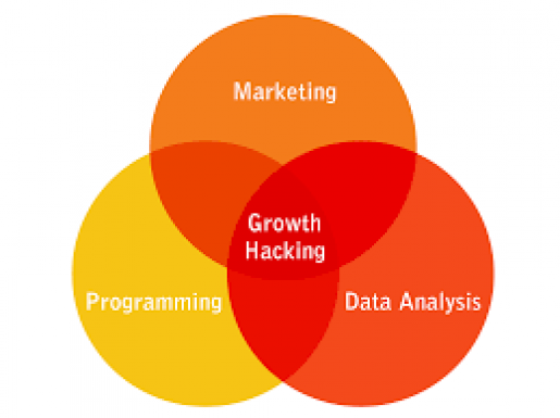 Growth hacking Nedir ?