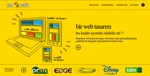 TED medya, MediaClick web sitesini taklit etti :)