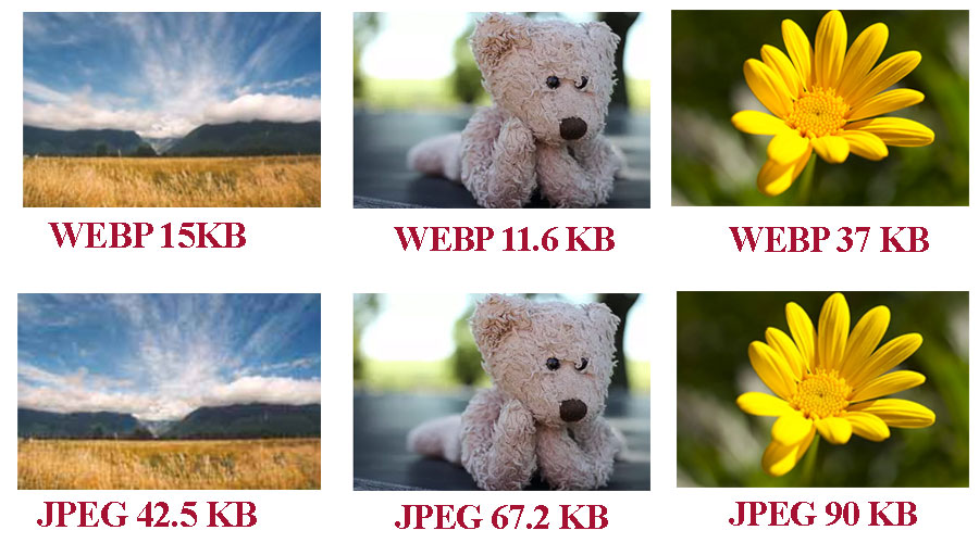 WebP nedir?