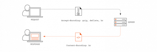 Brotli nedir? Brotli Ne İşe Yarar?