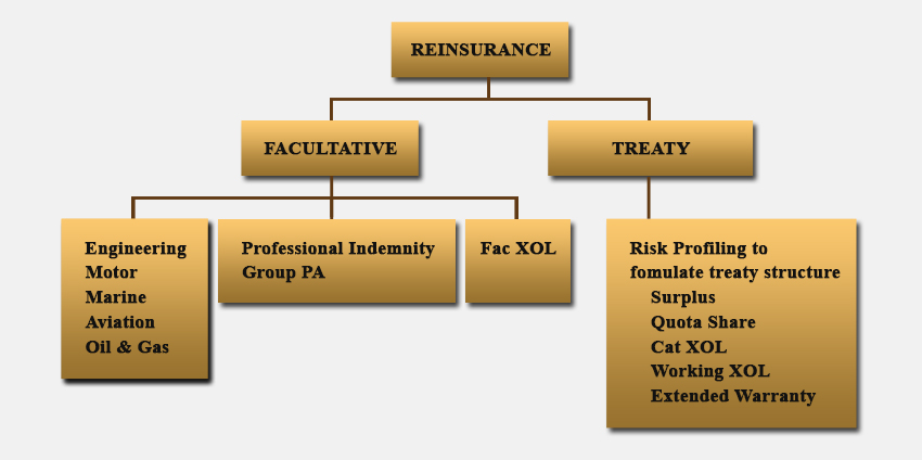 business-structure-diagram