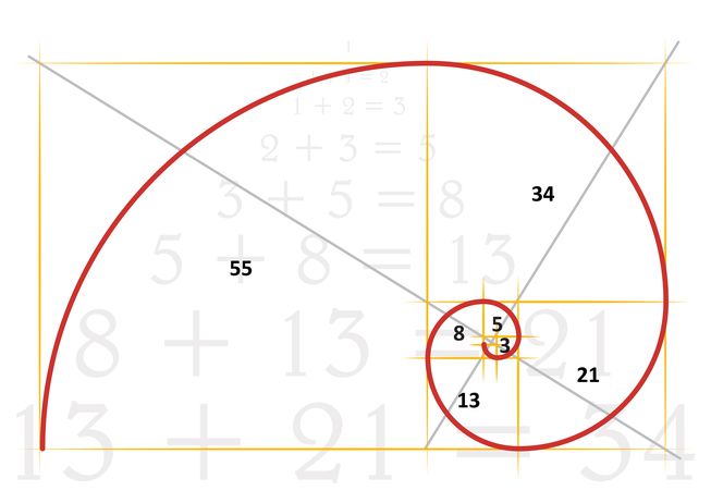 fibonacci_golden-ratio_nature