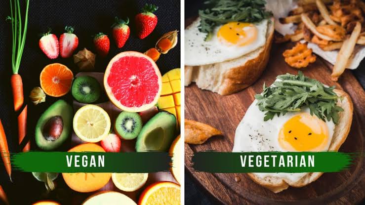 Vegan nedir?