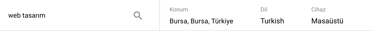 bursa-web-tasarım-arama