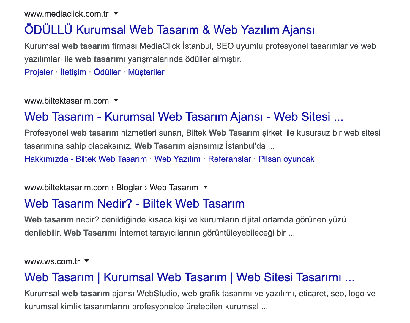 bursa-web-tasarım