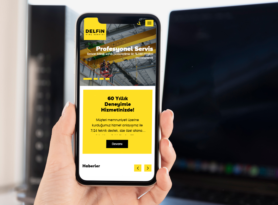 Delfin Vinç Servisi