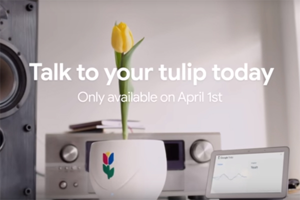 Google Tulip, Bitkilerle Konuşabiliyor