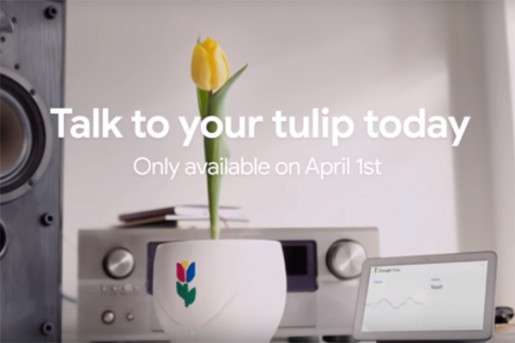 Google Tulip, Bitkilerle Konuşabiliyor