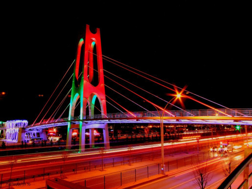 Kocaeli web tasarım firmaları