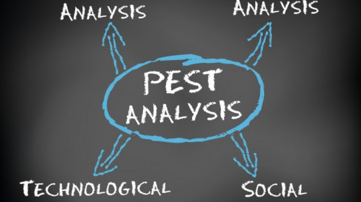 PEST analizi nedir?