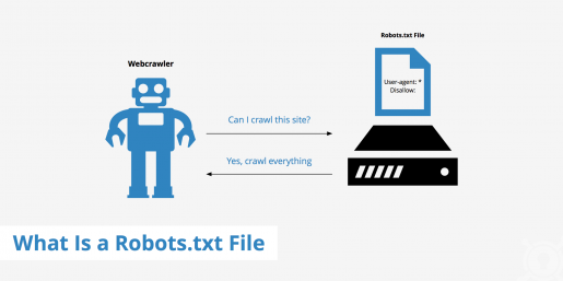 Robot.txt nedir?