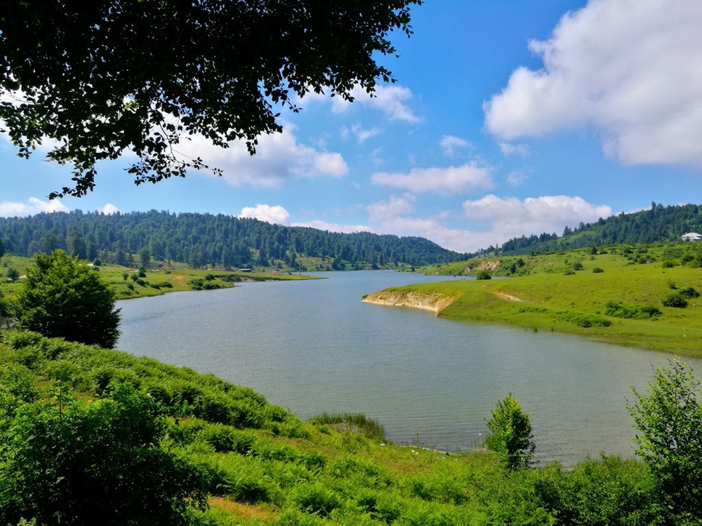 Sakarya web tasarım firmaları